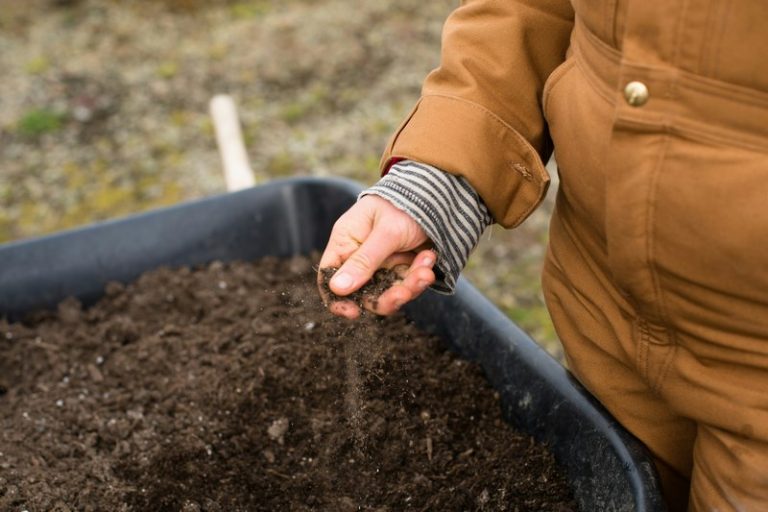 Regenerative Agriculture: ‘How Do We Grow More?’ to ‘How Do We Grow Better?’