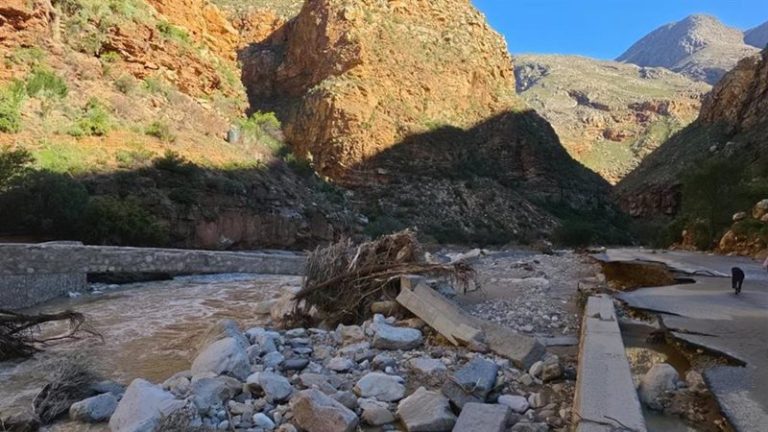 Western Cape Disaster Costs Soar to R9.1bn: Agriculture Bears the Brunt