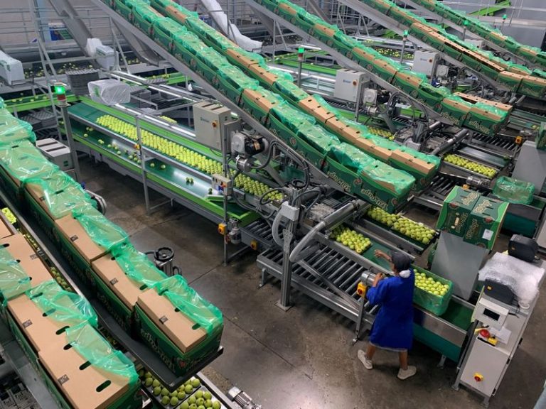 Ceres Fruit Growers Upgrades Strengthen South Africa’s Export Future
