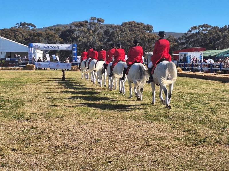 NAMPO Cape 2026: Bredasdorp to Host Winter Grain Region's Premier Agricultural Event NAMPO Cape 2026