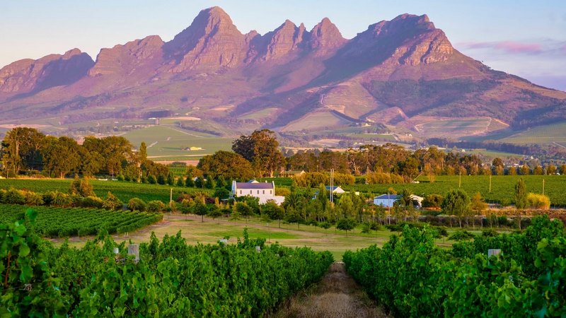 Cape Winelands Airport