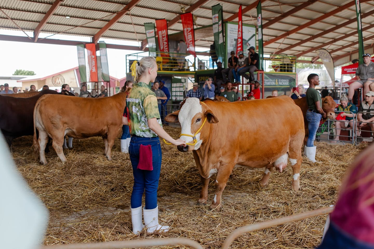 Nampo Alfa
