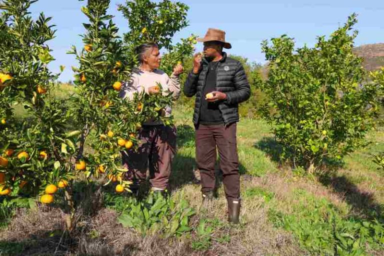 How Regenerative Tourism is Unlocking New Value for Bergrivier Agriculture