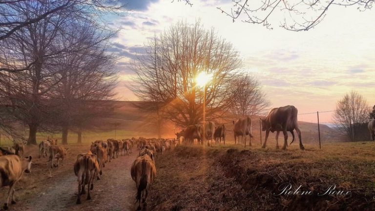 2026 World Jersey Tour Arrives in South Africa in September