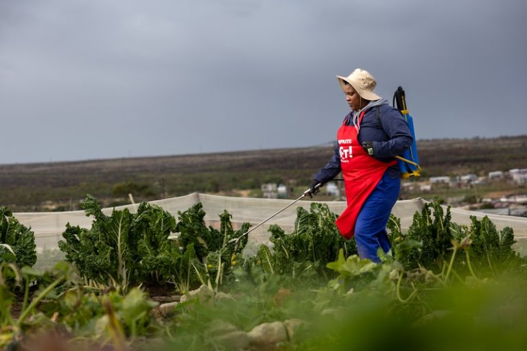 From Trash to Table: Shoprite’s 300th Food Garden Roots a Circular Revolution in Bredasdorp