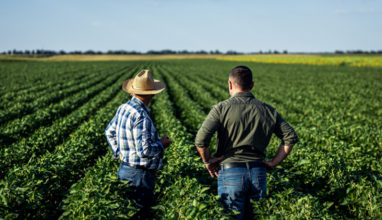 Grain SA Slams JSE Decision on Soybean Price Model