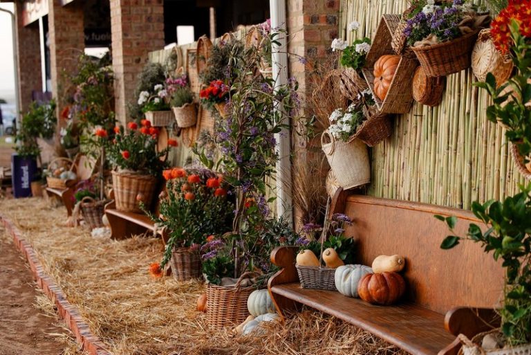NAMPO Cape 2026 Celebrates Rural Life and Floral Splendour