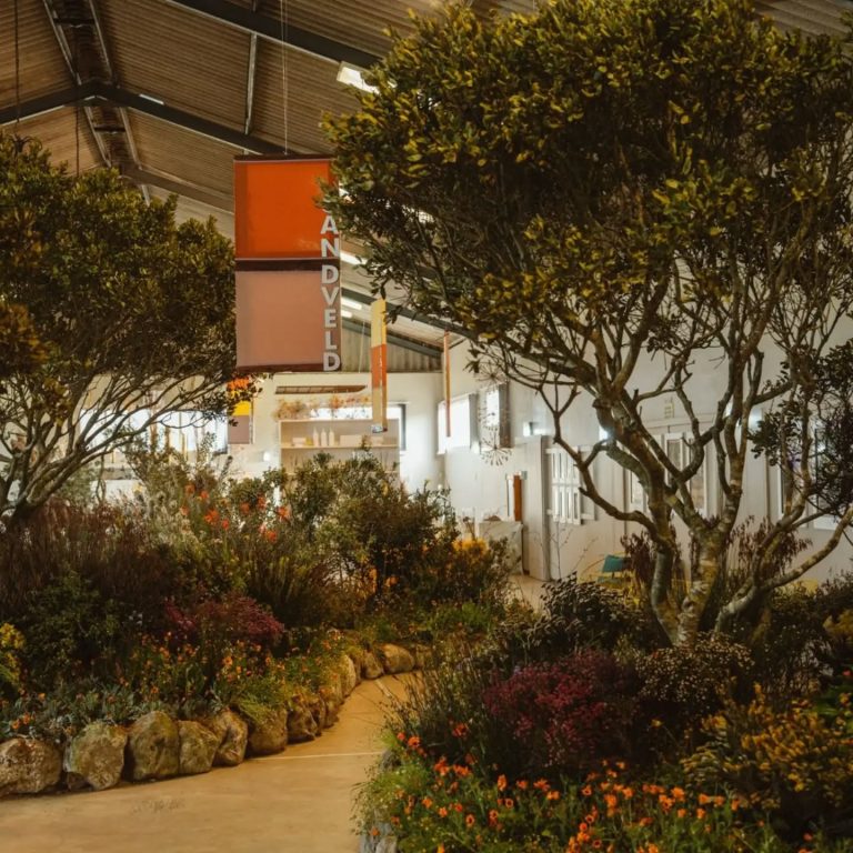 Hopefield Fynbosskou vier 37 jaar van fynbos, gemeenskap en tradisie
