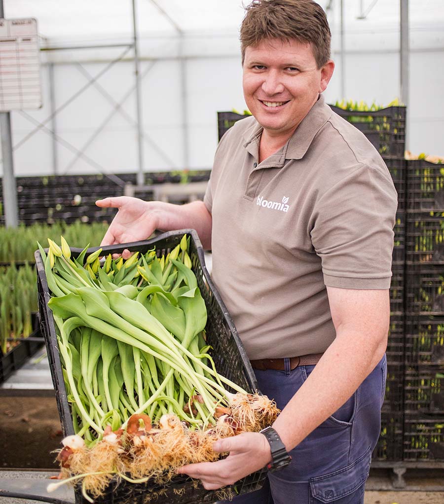 IFPA Southern Africa Welcomes Bloomia as First Floral Member