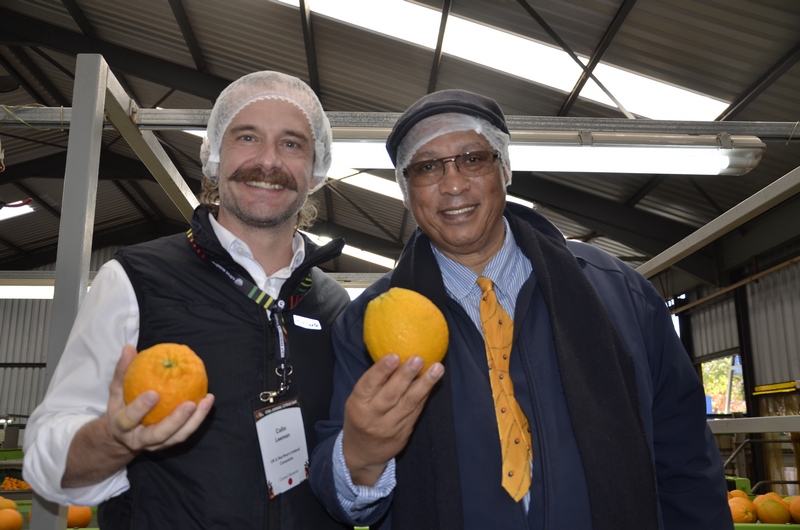 Citrus Day