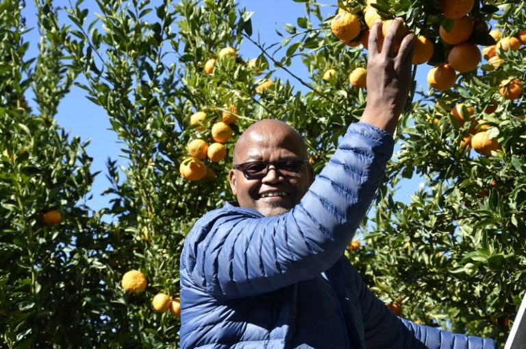 South Africa Celebrates Inaugural Annual Citrus Day