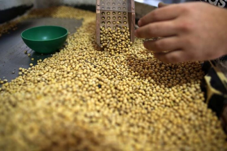 Landmark China Export Deal Highlights Broader JSE Pricing Debate