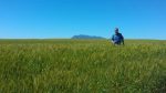 Swartland