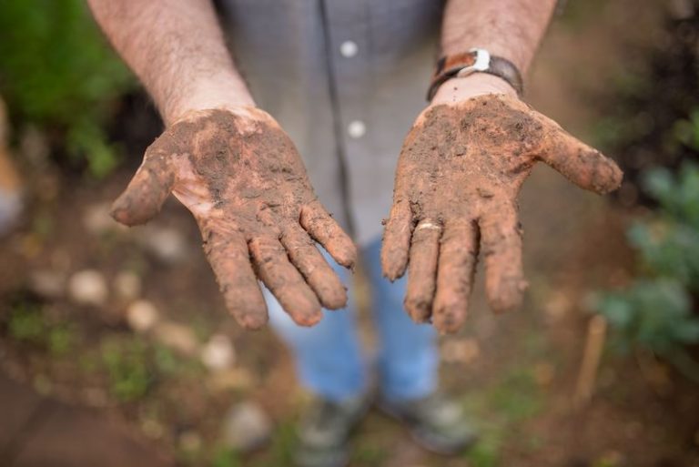 Agriculture’s Future still belongs to Human Hands