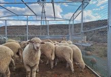 Mobi-Kraal