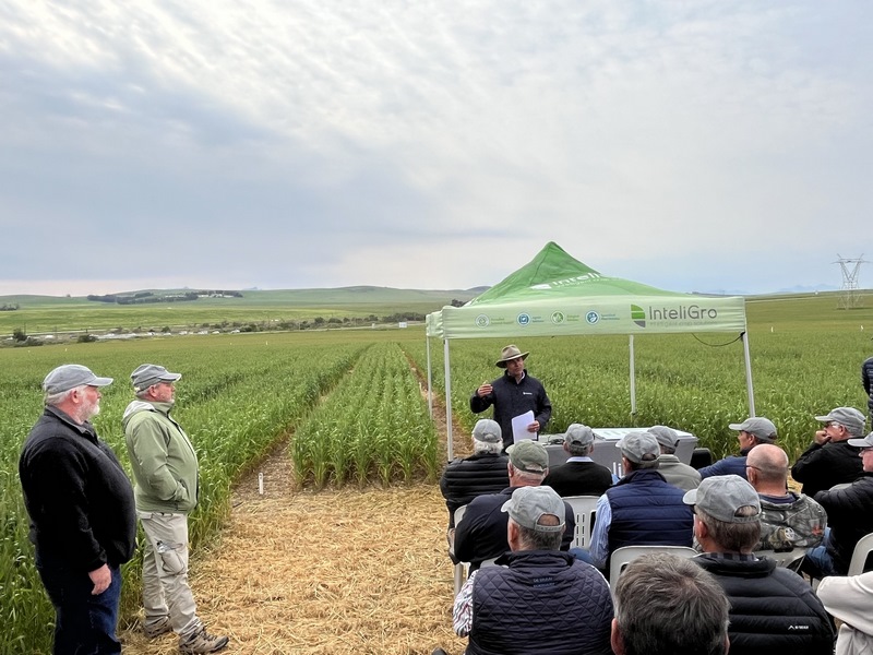 How Raw Agronomic Data Becomes Actionable Farm Management